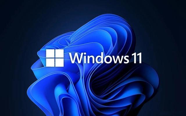 Win11各个版本怎么区分-Win11各个版本介绍