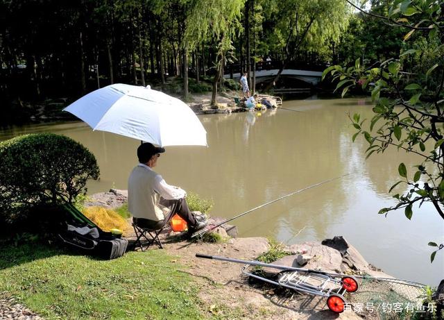 夏天野钓草鱼常空军？试试这5种钓法，钓鱼新手也爆护