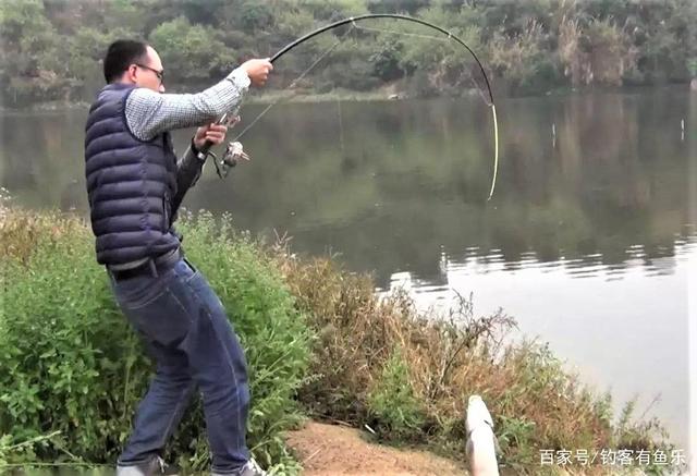 夏天钓草鱼、鲤鱼是用商品饵还是用玉米？哪种上鱼更快？