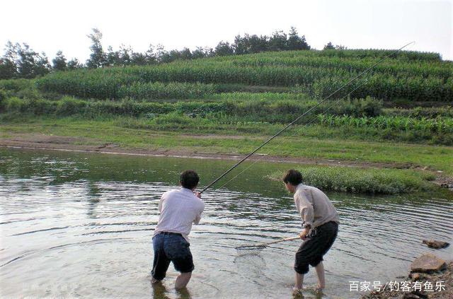 夏天钓鲢鳙简单遵循几点，不会钓的也爆护