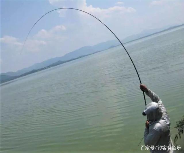 夏天钓草鱼，掌握简单几点，新手一样连竿