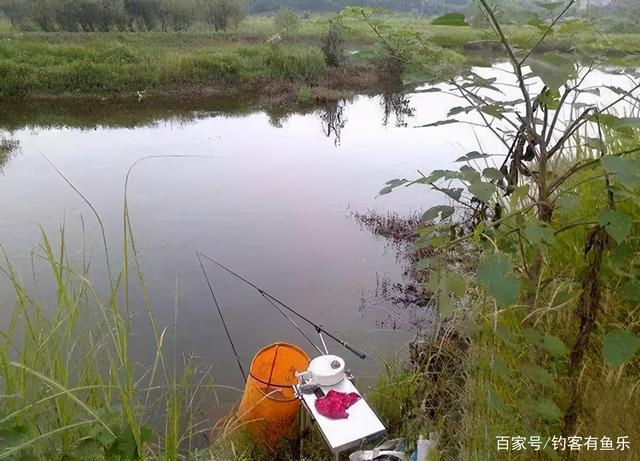 白天太热鱼不咬钩，可夜钓；小鱼闹钩，看漂抓口是关键