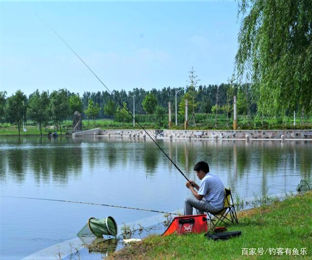 天热钓鱼，小杂鱼闹窝太烦人，做好3点，大鱼到，小鱼跑