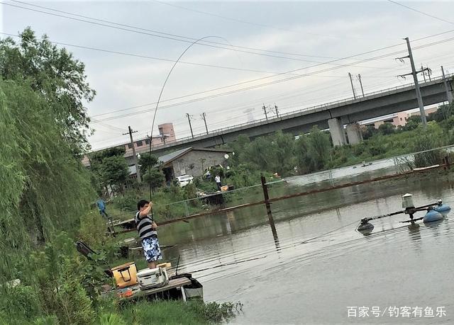 黑坑青鱼怎么钓？注意6点细节，青鱼爆竿不停