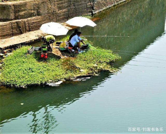 夏季天热大鱼都躲在哪里？找准几处鱼道野钓，渔获量翻倍