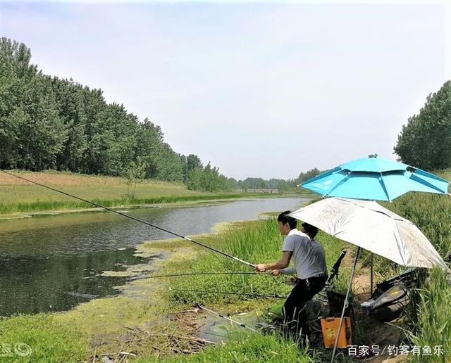 夏季高温鲫鱼难钓？搞懂其中奥妙，夏季野钓不难爆护