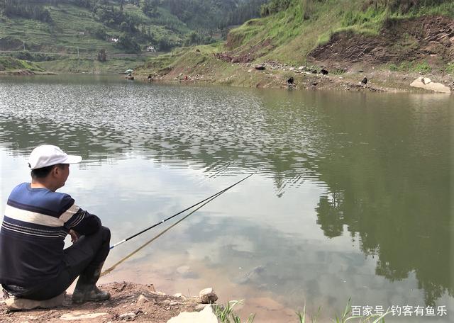 夏天不好钓鱼？那是因为方法没找对