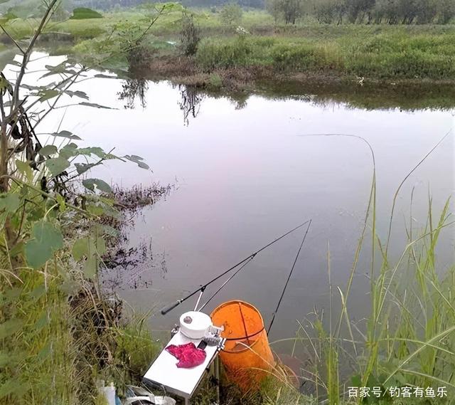 台钓白条鱼怎样“钓行程”？这些细节做好，钓白条犹如下网