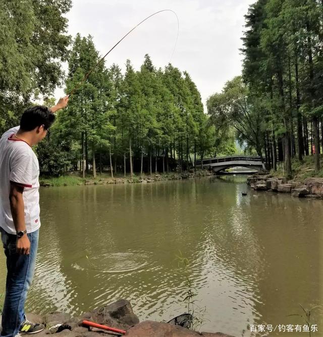 野钓浅水，应注意什么？做到这5点，水浅1米，大鱼爆竿