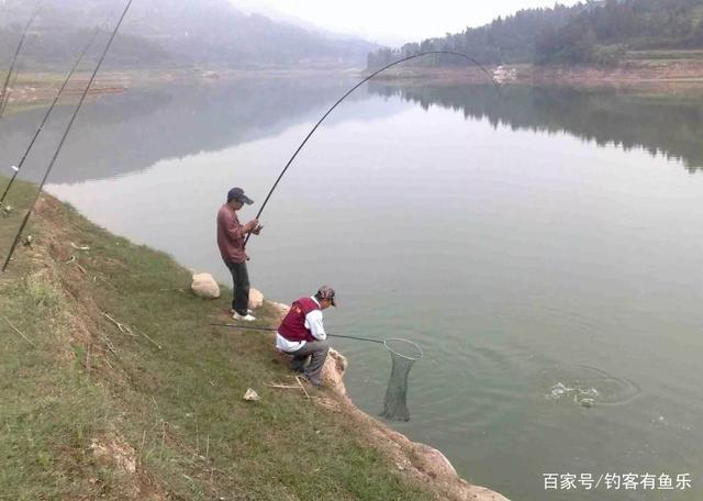 夏天钓鲫鱼、鲤鱼怎样配比饵料？熟悉了这些，可以让你钓获满满