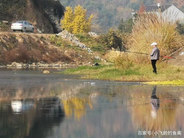 天气冷传统钓大显威力，新手学会3件事，也能尝到连杆的滋味