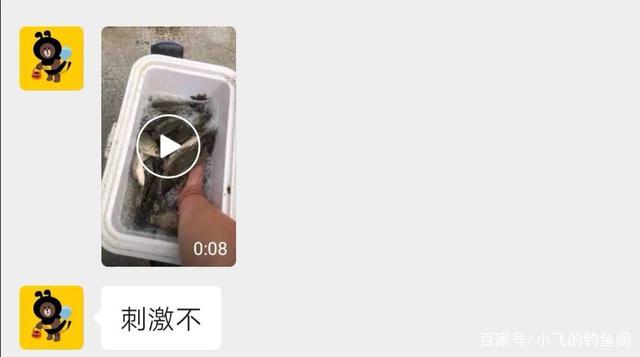 “鲤鱼到底吃不吃玉米”，玉米钓不到鲤鱼，很有可能用法不对