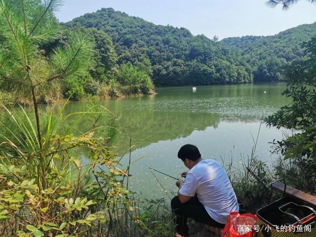 新手跑铅钓大鱼，学会“调4钓2”却屡屡空军？问题出在哪？