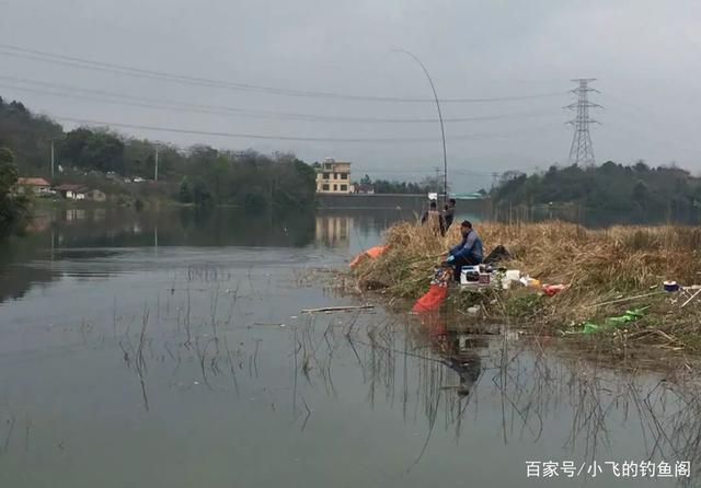 谁说冬季钓鱼必须钓深？这种几十公分的浅滩照样能上大鲫鱼！