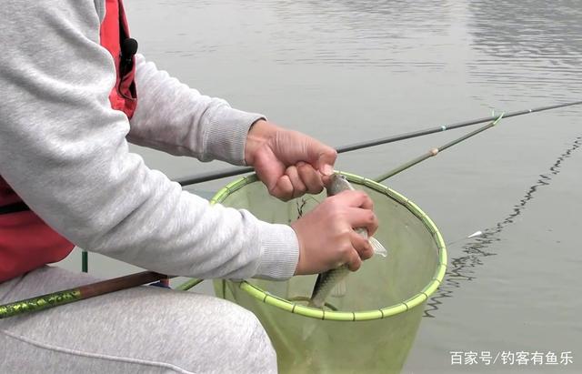 冬季野钓鲫鱼，有动作不中鱼，没动作却中鱼，多半是这些问题