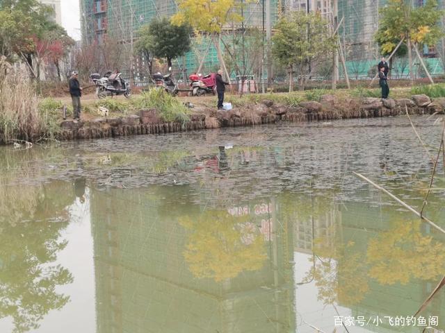 浅水障碍区出鱼好，但也有注意这几件事，稍有不慎就跑鱼炸窝！