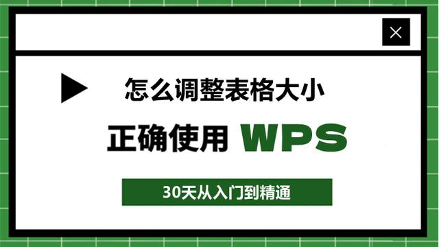 118、WPS表格怎么调整表格大小？这样设置，让你的表格更专业！